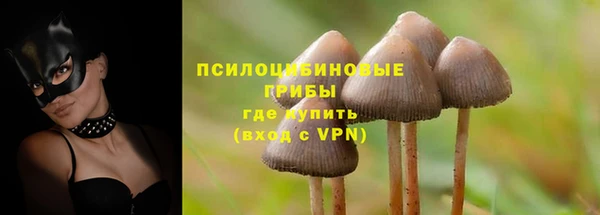 прущая мука Бугульма