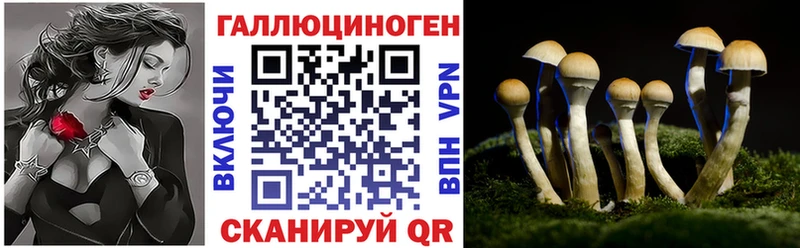 купить наркоту  Верхоянск  Псилоцибиновые грибы прущие грибы 